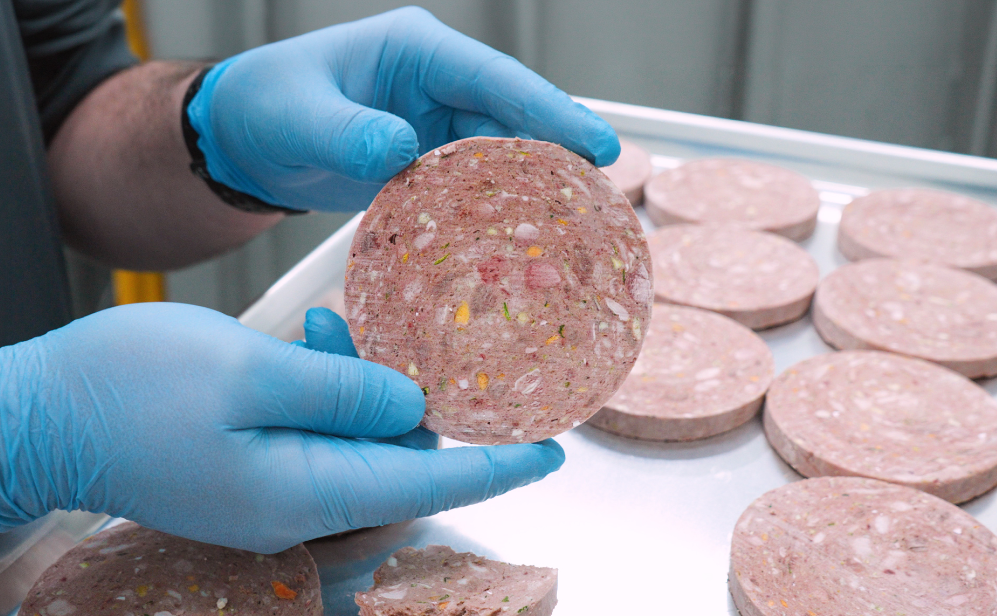 Benefits of Freeze-Dried Food
